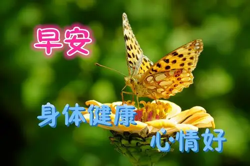 新的一天早安正能量语句最美早上好图片带字正能量