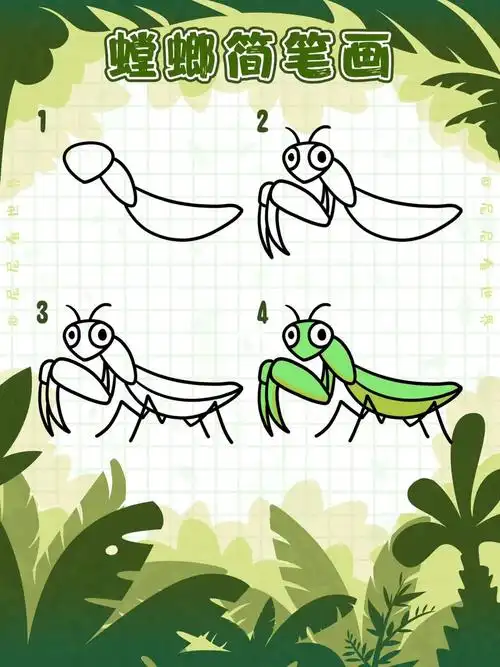 尼尼简笔画vol65螳螂简笔画螳螂卡通画