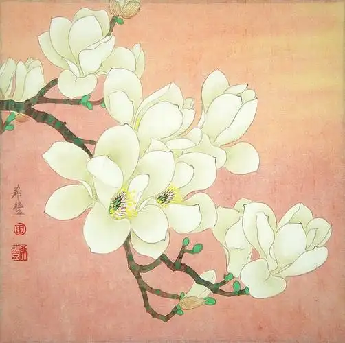 工笔玉兰花