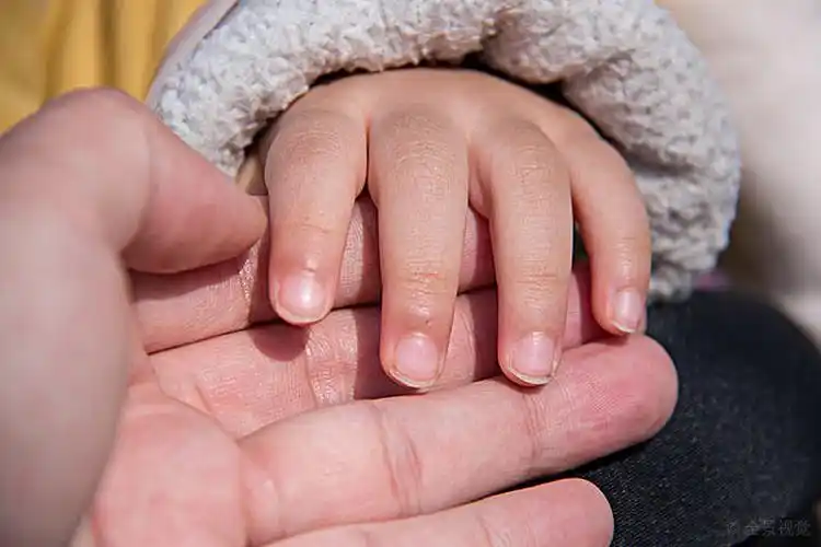 婴儿小手图片_婴儿小手高清图片_全景视觉