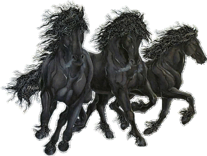 450_338gif 动态图 动图