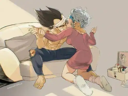 龙珠图集:布玛与贝吉塔的点滴!