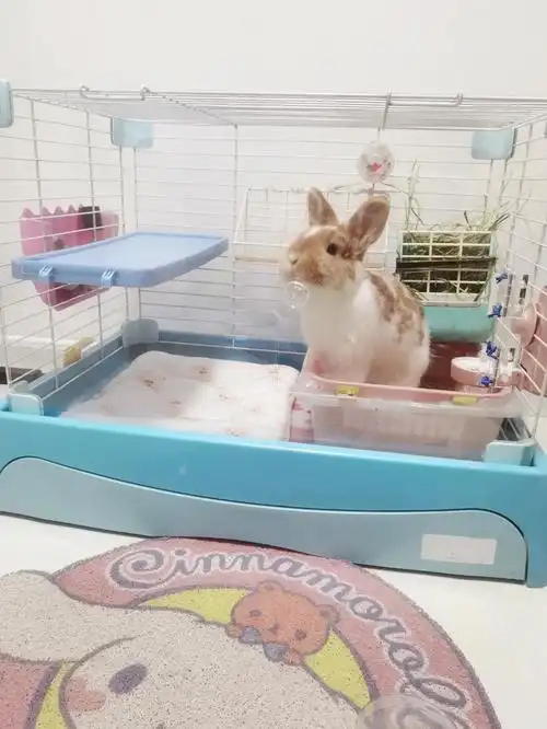 亚克力兔笼改造图纸