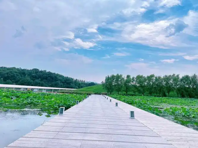 日照旅游白鹭湾美术馆小镇