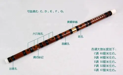 专业苦竹笛子精制镶仿牛骨竹笛 黄铜单接笛子乐器 竹笛子横笛