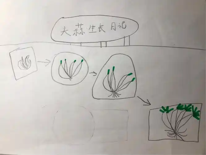 蒜宝宝成长记—一年级三班王淇琛