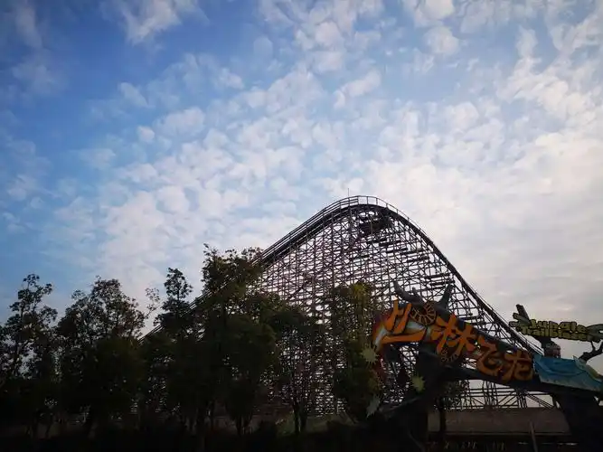 丛林飞龙,大型木制过山车.我就望望.