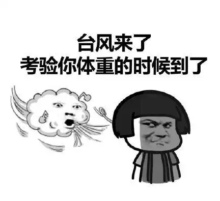 【利奇马台风】gif动态图片 - 利奇马台风动图表情包下载 - soogif动