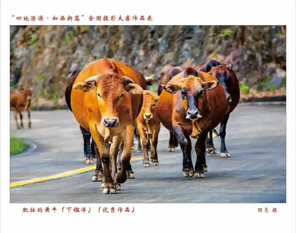 "四地澄源·如画新篇"全国摄影大赛获奖作品展示(4)#大山深 - 抖音