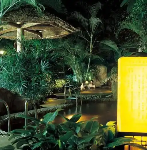 龙熙温泉度假酒店温泉水世界门票/团购/在线预订/地址