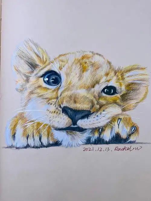 奶萌小狮子03彩铅手绘附步骤