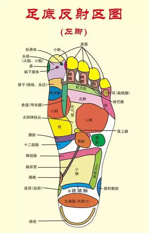 你知道吗,木棍擀脚底,减肥效果很神奇