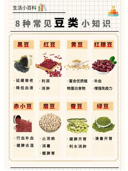 生活小百科|8种常见豆类小知识