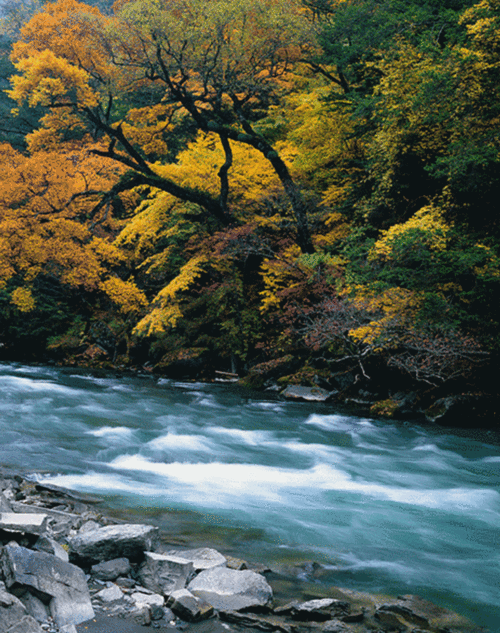 深秋的北京风景美如画
