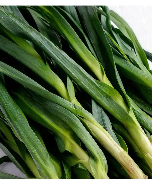 资阳区湘益资大蒜叶1斤