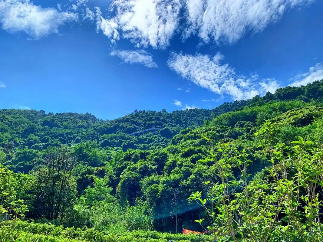 阳台山登山徒步.海拔587米  石岩入口-大阳台-小阳台-大 - 抖音