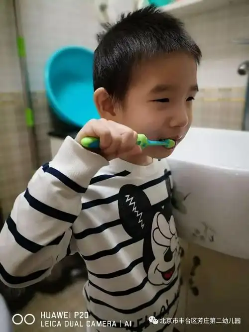 小朋友们在刷牙,从小学会爱护牙齿.小朋友们在绘画.