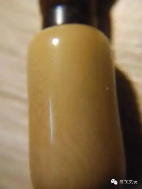 象牙果的两个未解之迷