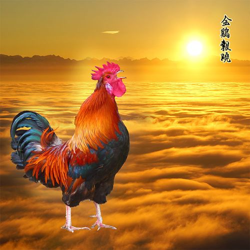 中式 大公鸡 雄鸡 大红鸡 金鸡报晓 便宜墙画贴装饰平面自粘画