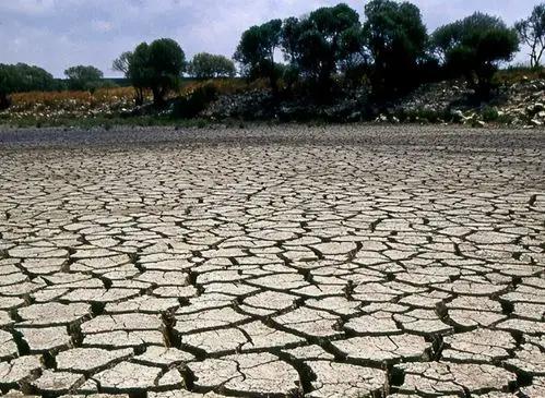 地球气候环境逐渐恶化,科学家:如不保护,需尽快脱离地球!