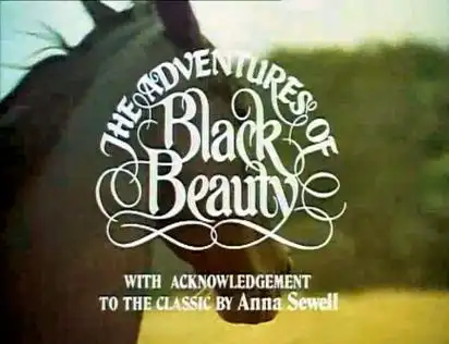 the adventures of black beauty