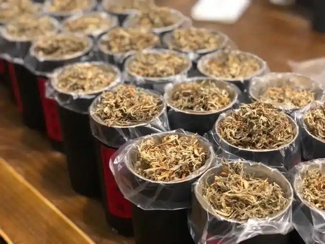 儿时的老鹰茶