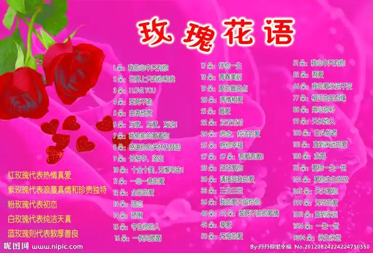 花语大全配图片(花语大全带图片和花名 唯美壁纸)