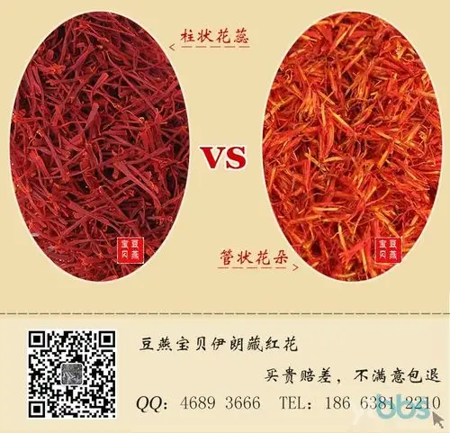 达人知识图解藏红花与草红花之间的区别