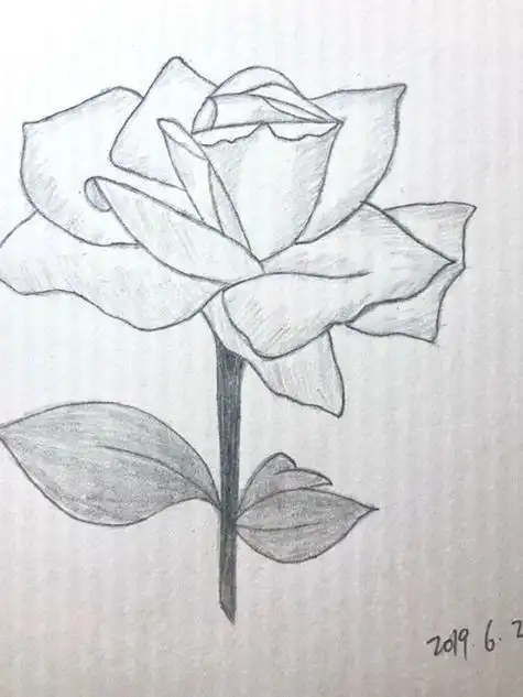 素描画大全简单素描画简单