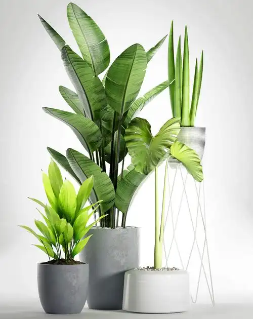 首页 3d模型下载 植物石头  盆栽 现代绿植盆栽组合型  描述 添加到