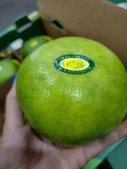 重庆葡萄柚1件也是批发价