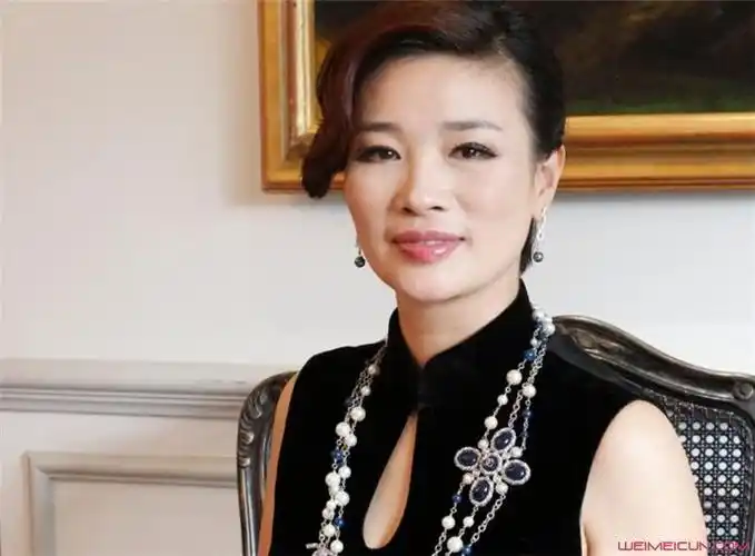 胡洁怎么发家的前夫是谁 为什么会看上了周立波