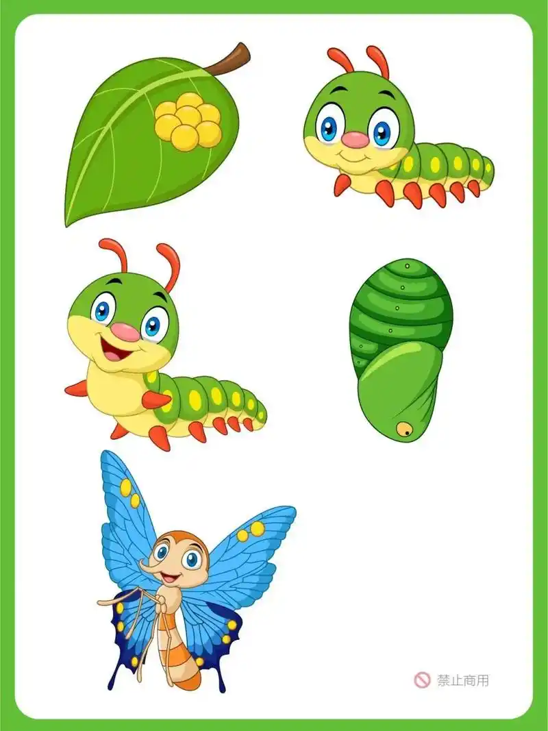 91卡通蝴蝶03演变过程-高清彩绘图 蝴蝶被誉为会飞的花朵,是一种