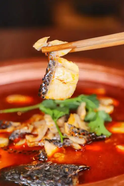 河东这家黑鱼火锅要疯了!|黑鱼|鱼片_新浪网