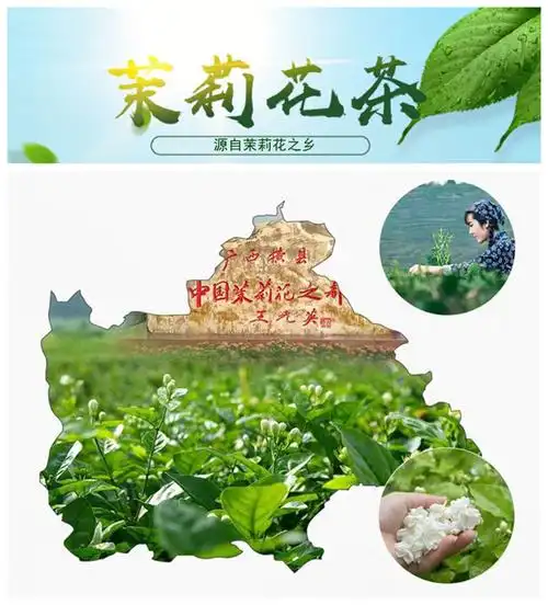 广西横县茉莉花茶新茶茉莉黑美人产地批发散装浓香耐泡型花茶茶叶