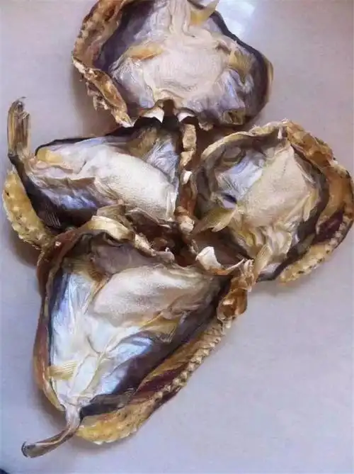 汕尾本地特产(海河豚干)购买请先咨询!