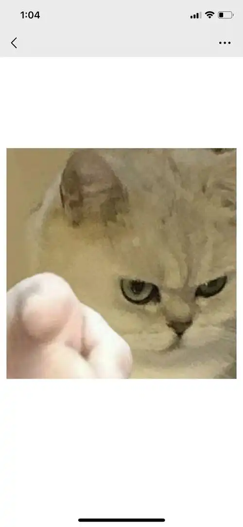 uu们求那种指人的表情包