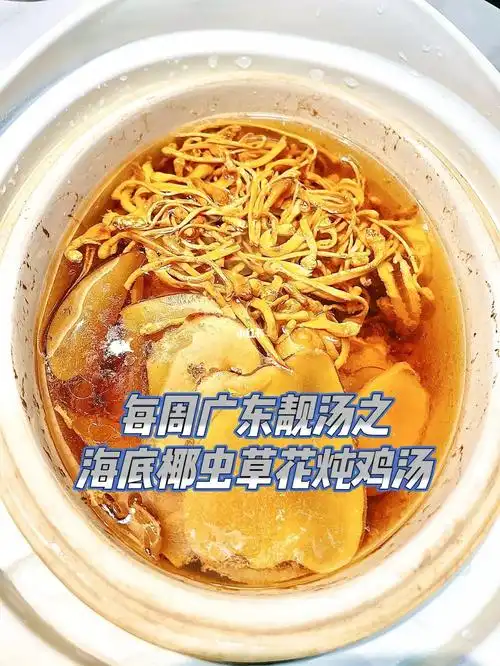 每周广东靓汤之海底椰虫草花炖鸡