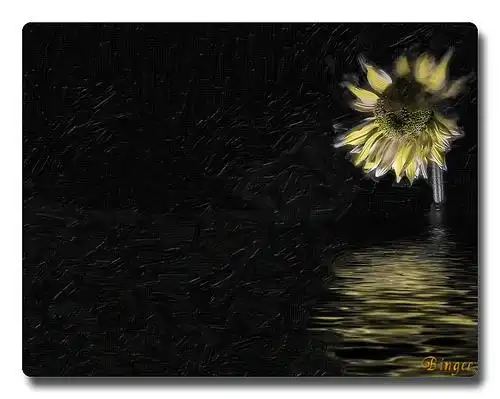 "consistency is the last refuge of the unimaginative.