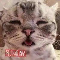 刚睡醒了图片唯美带字 我睡醒了唯美搞笑图片_微信头像图片大全