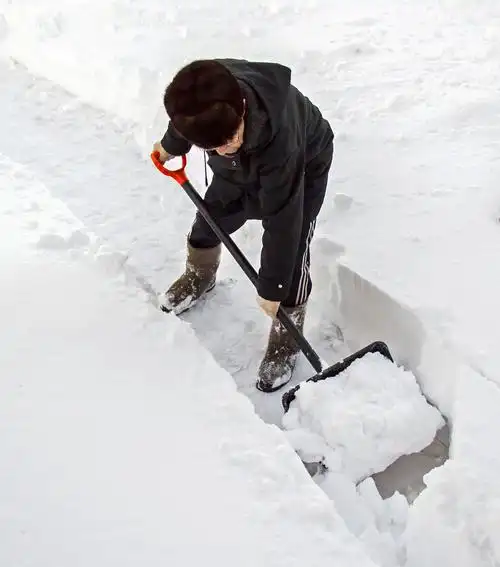 劳动图片_劳动图片大全_全景图片