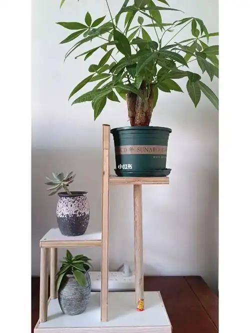 超简单书桌小花架制作适合新手