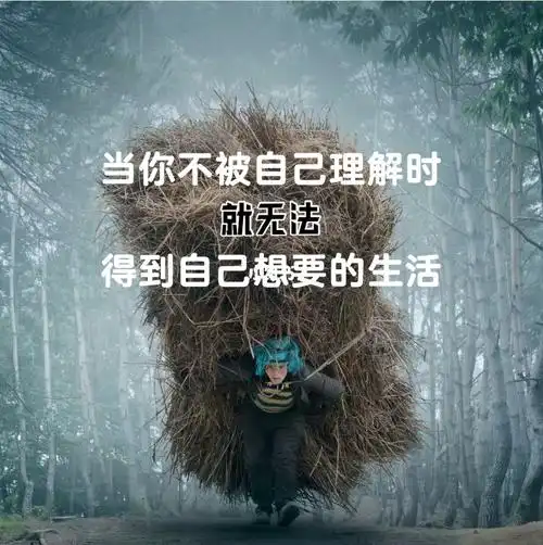 不被自己理解时就无法得获得自己想要的