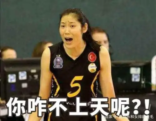 被排球天赋耽误的表情艺术家:朱婷表情包大合集