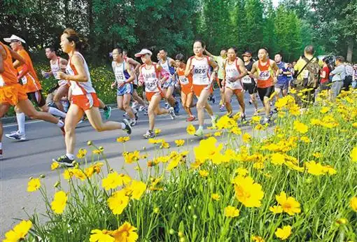 富力先行 2015佛山首届公园趣味定向跑即将进行