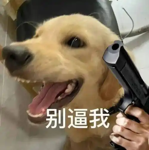 沙雕表情包:活该你被骂_公众_il_li