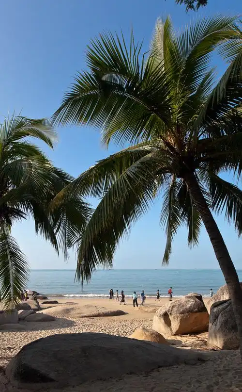 三亚天涯海角的椰树风光