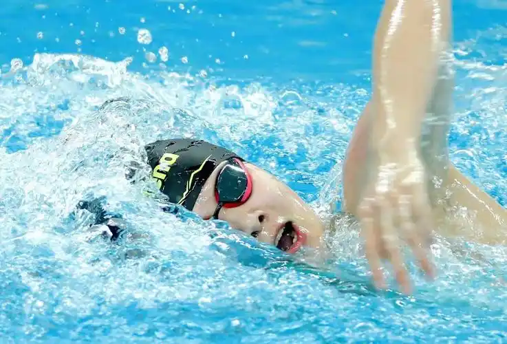 深圳8位运动健儿获东京奥运会参赛资格