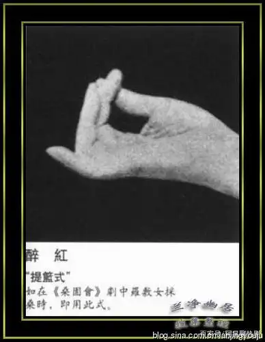 看《鬓边不是海棠红》,你可认识梅兰芳"53式兰花指"?