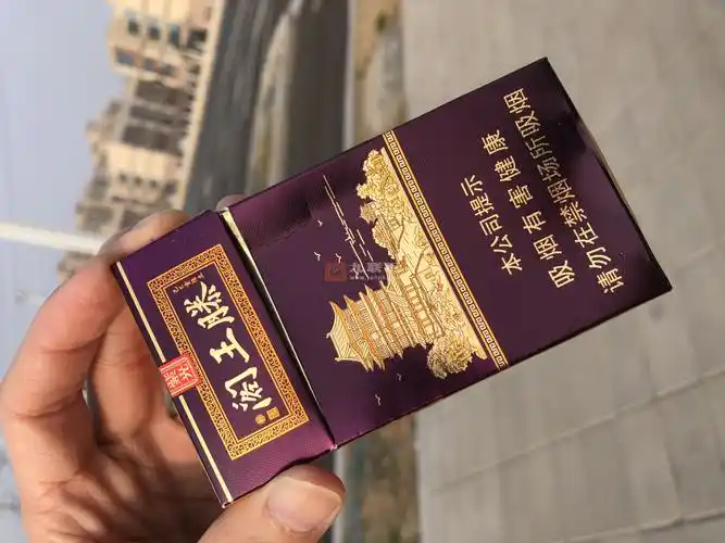 金圣滕王阁·紫光相册 92816_40899